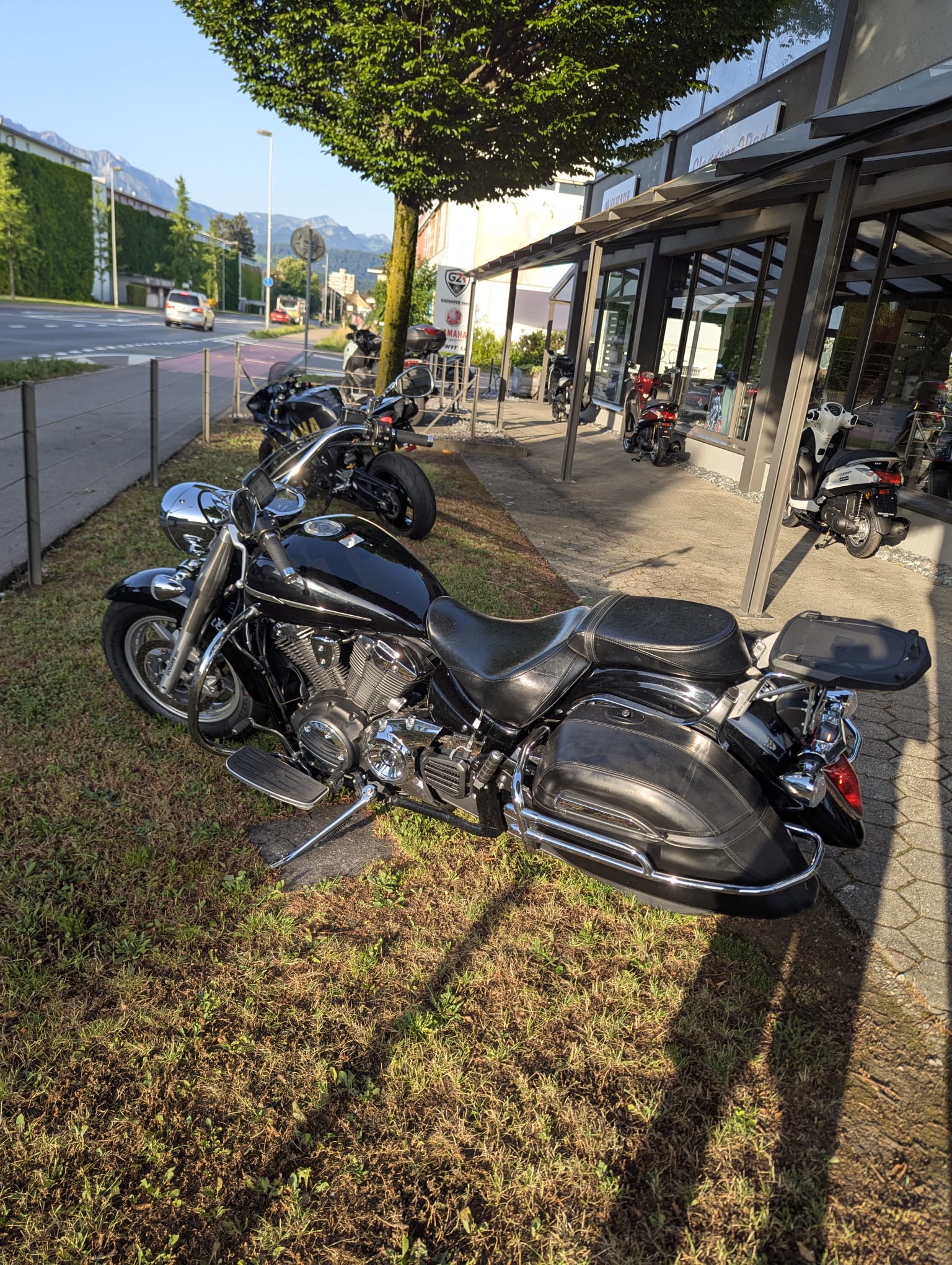 YAMAHA XVS 1300 A Midnight Star UBS-image-2