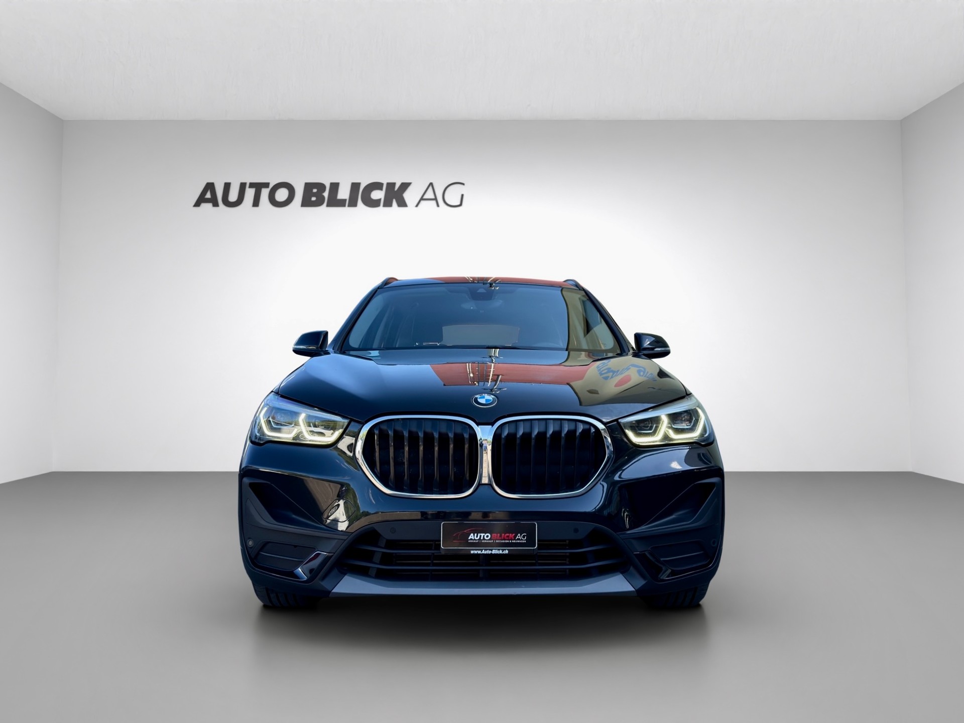 BMW X1 xDrive 20d Steptronic-showroom-element-2