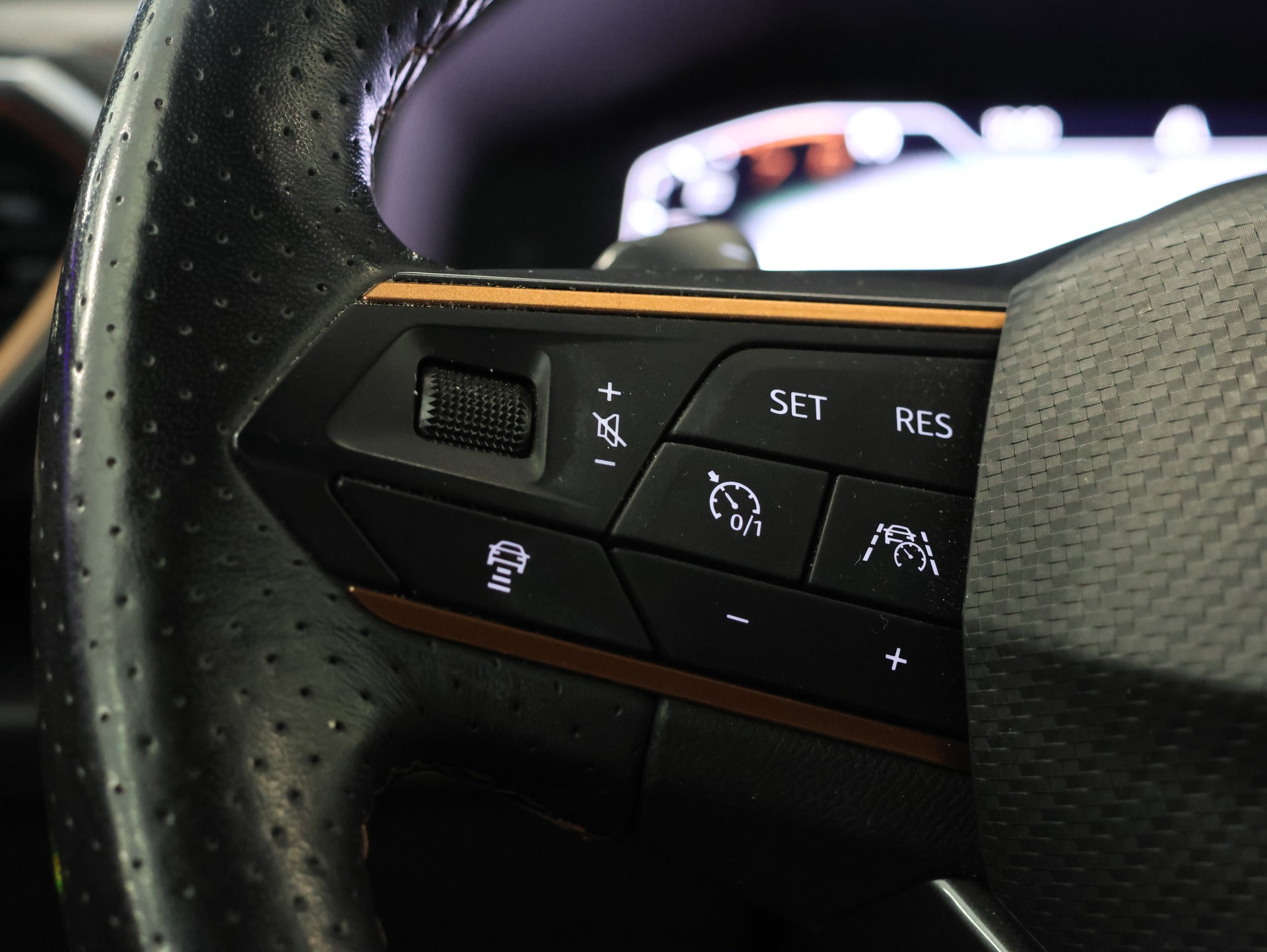 CUPRA CUPRA Formentor 1.5 TSI DSG *Sitzheizung* *Panorama* *Carplay*-image-21