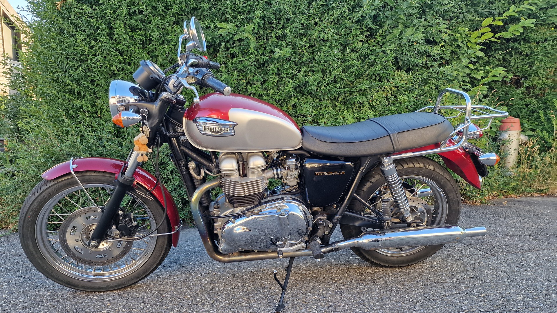 TRIUMPH 790-image-0