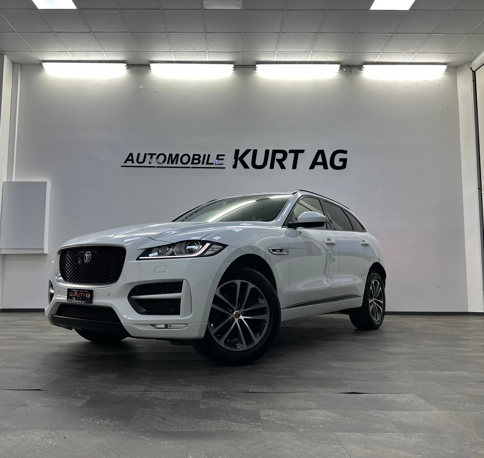 JAGUAR F-Pace 3.0 TD R-Sport AWD Automatik-showroom-element-1