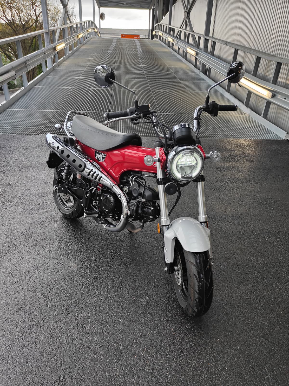 HONDA St 125 Dax-image-4