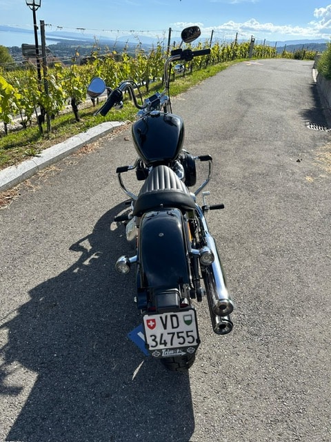 HARLEY-DAVIDSON FXST Softail Standard 107-image-1