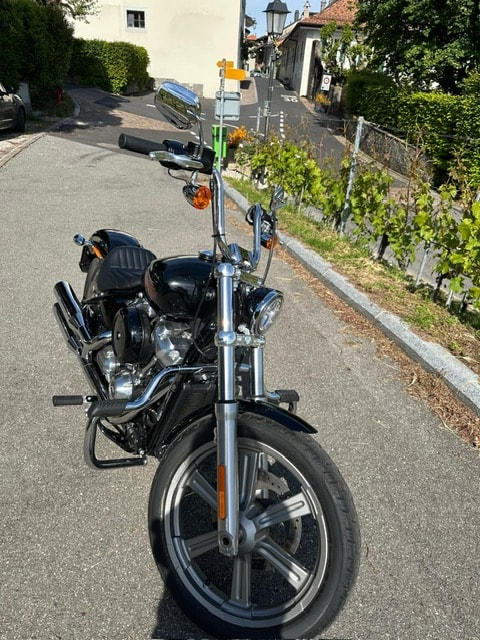 HARLEY-DAVIDSON FXST Softail Standard 107-image-3