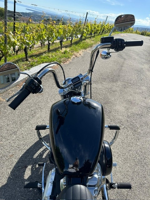 HARLEY-DAVIDSON FXST Softail Standard 107-image-2