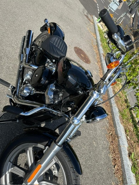 HARLEY-DAVIDSON FXST Softail Standard 107-image-4
