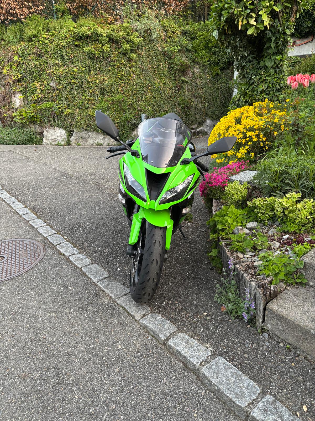 KAWASAKI Ninja ZX-6R (636) (35kW)-image-2