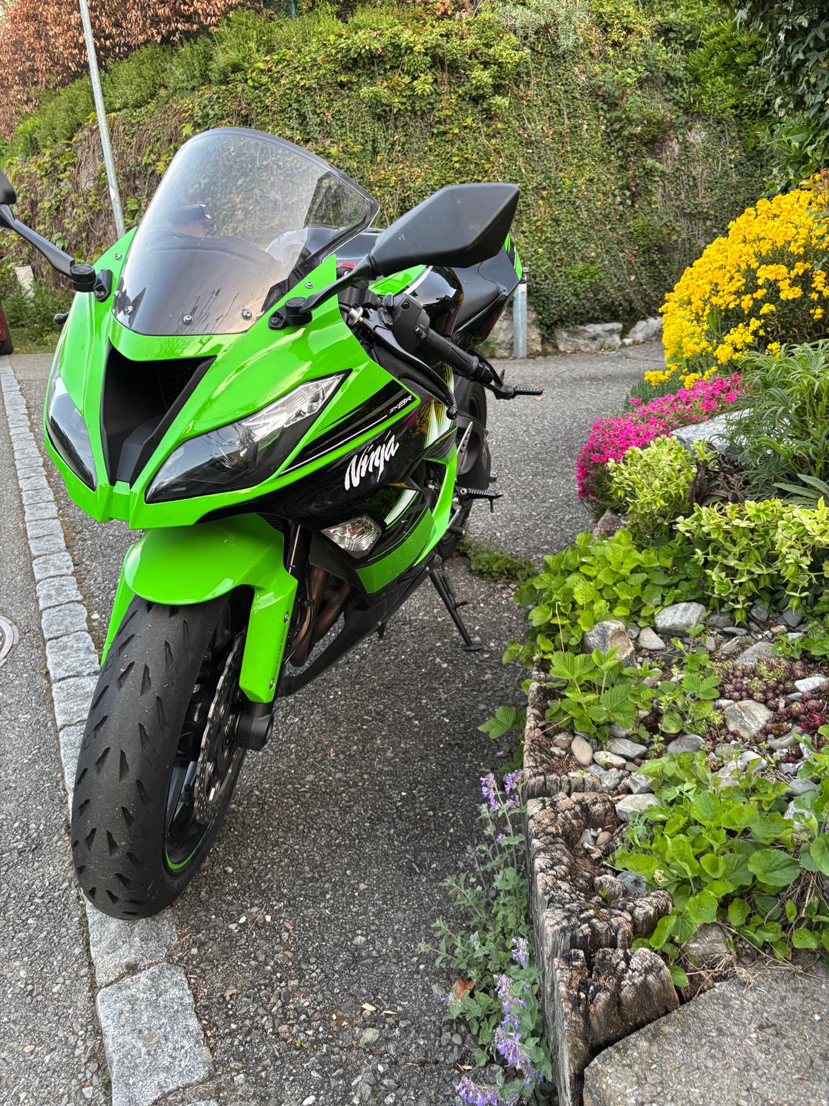 KAWASAKI Ninja ZX-6R (636) (35kW)-image-3