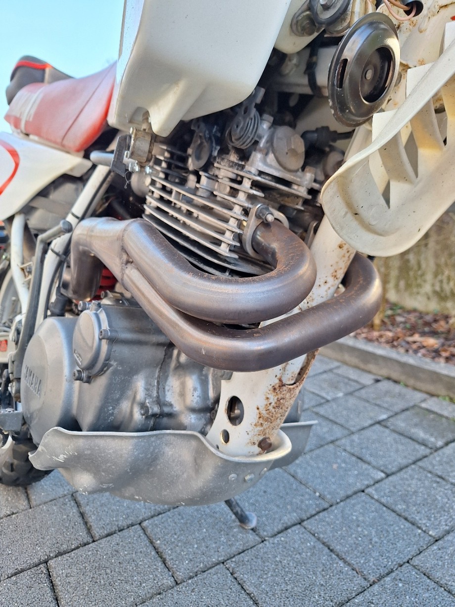 YAMAHA TT 600-image-6