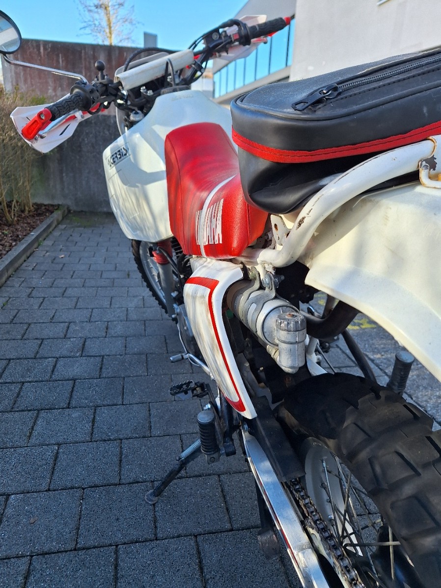 YAMAHA TT 600-image-3