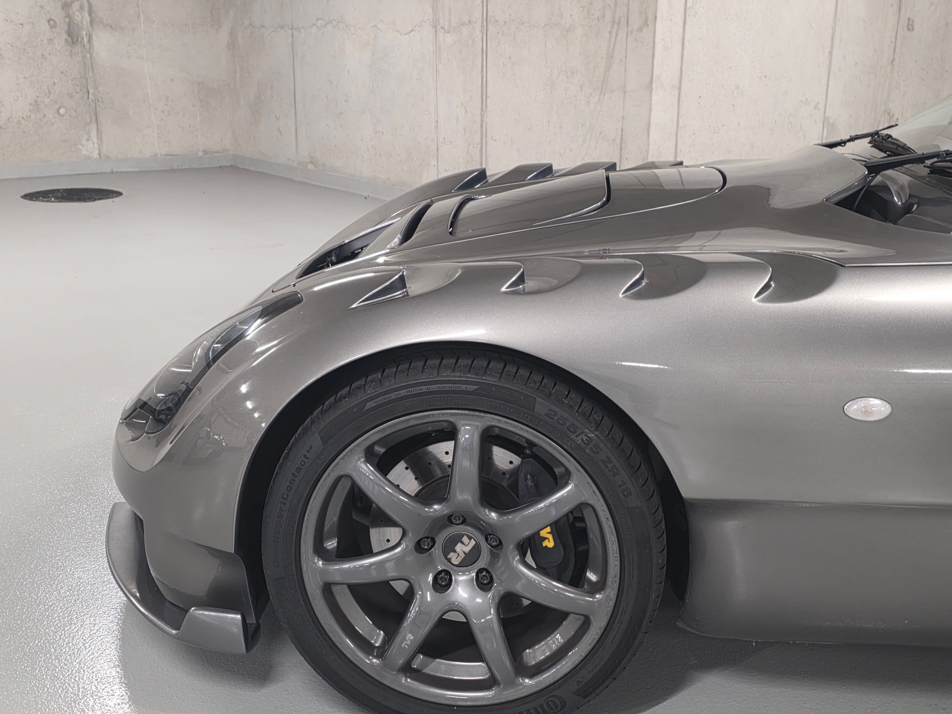 TVR SAGARIS-image-8