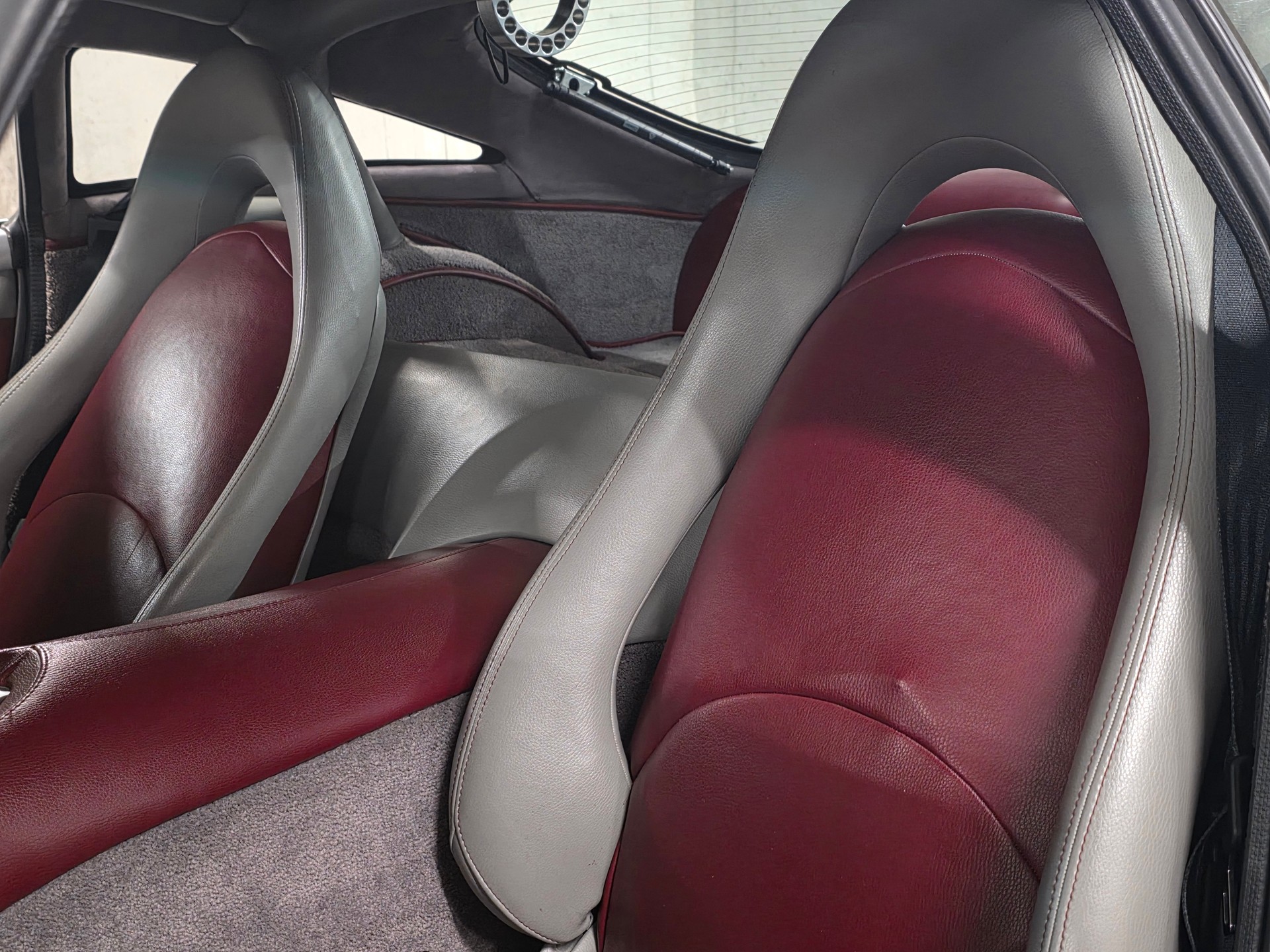 TVR SAGARIS-image-13