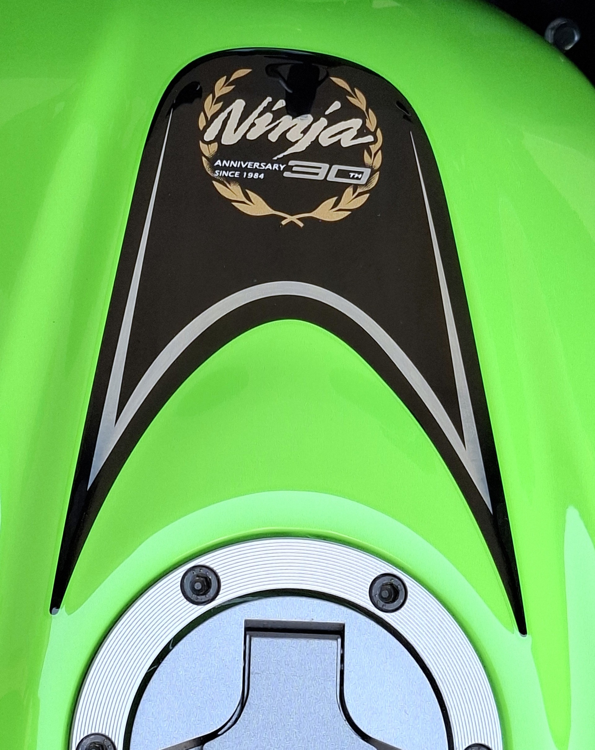 KAWASAKI Ninja 300 ABS-image-6