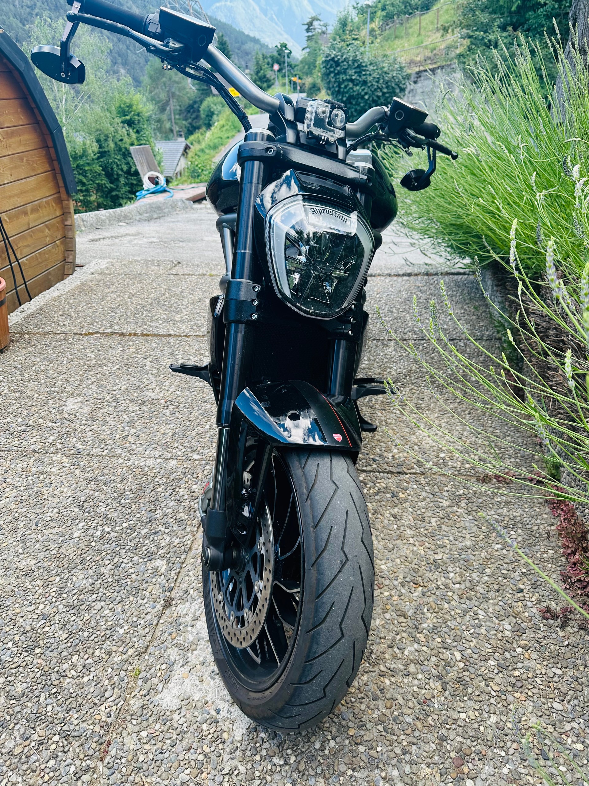 DUCATI XDiavel 1260 S-image-5