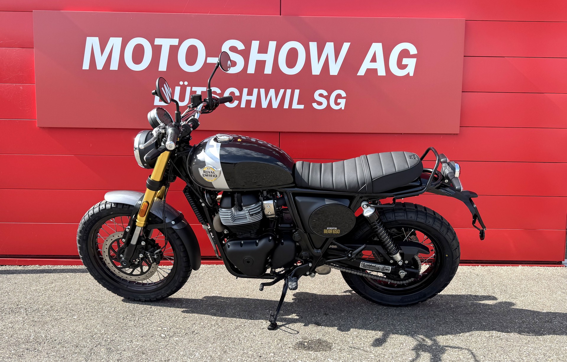 ROYAL ENFIELD BEAR 650-image-3