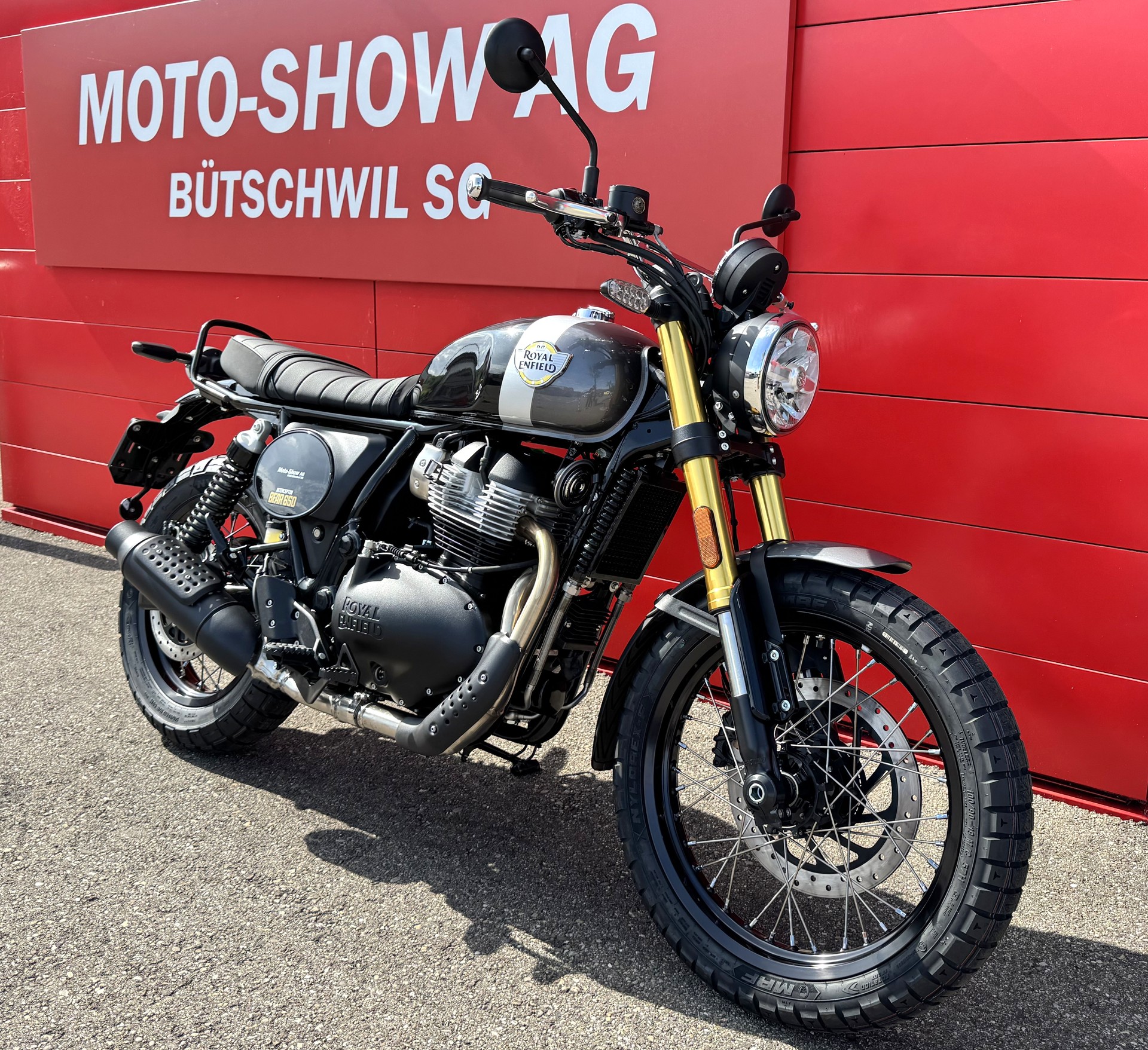 ROYAL ENFIELD BEAR 650-image-1