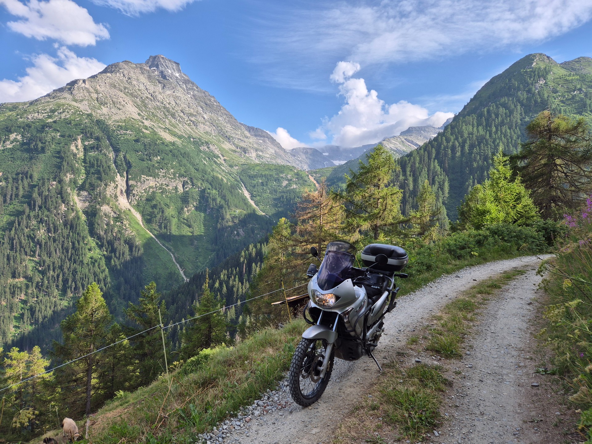 HONDA XL 650 V Transalp-image-12