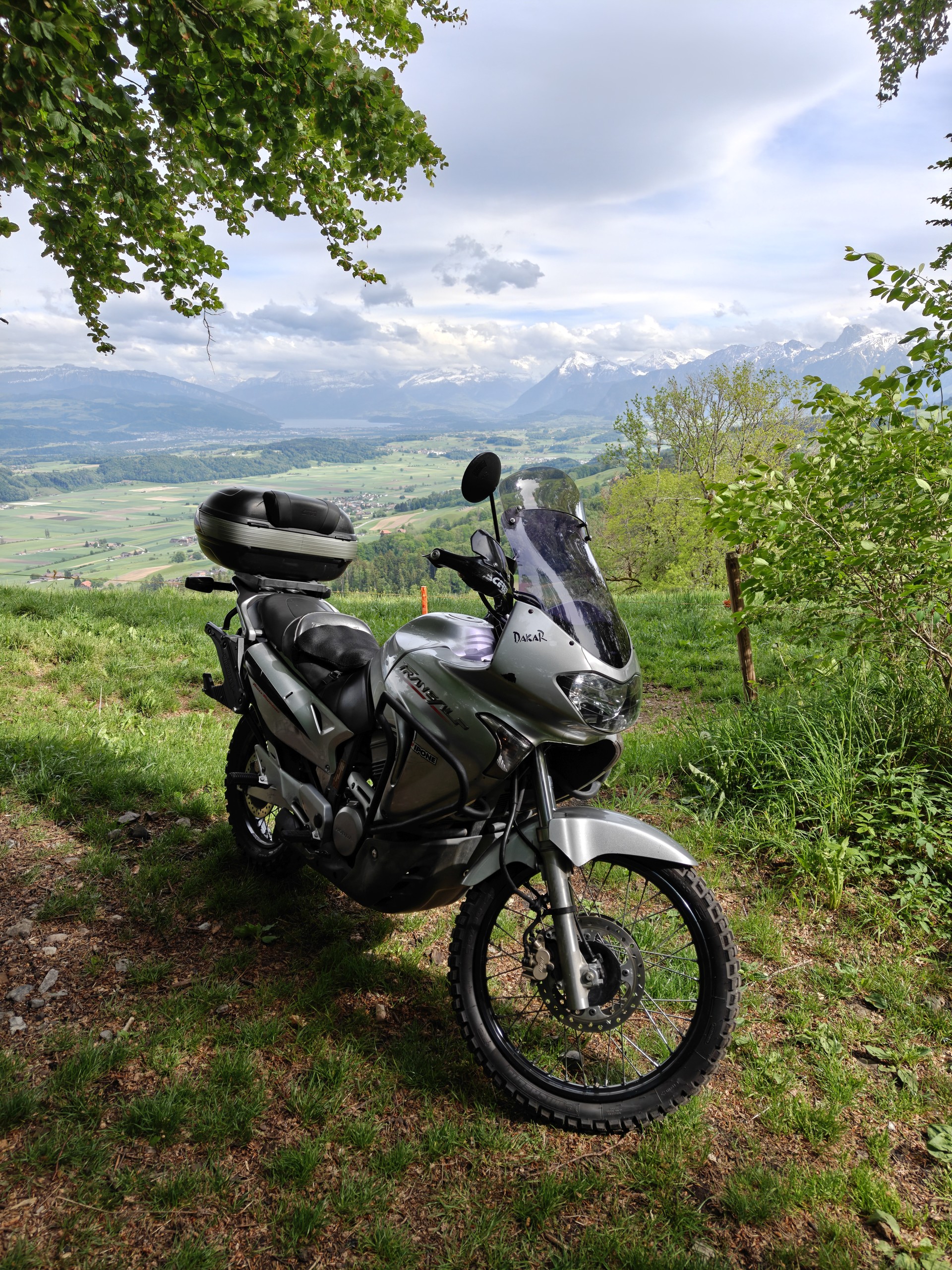 HONDA XL 650 V Transalp-image-0