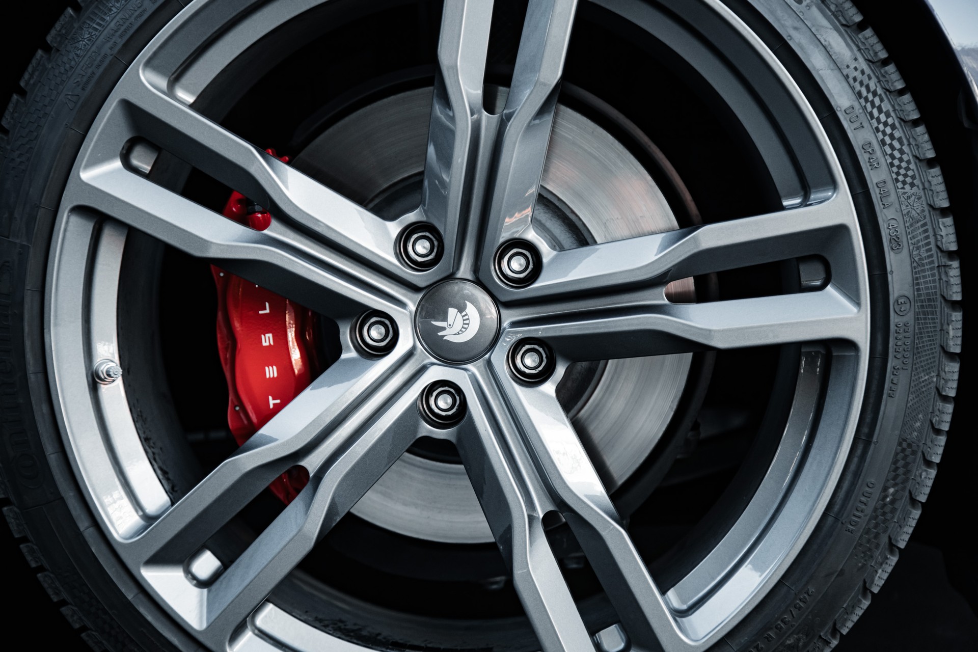 TESLA Model S 100 D Perf. Shootingbrake-image-10