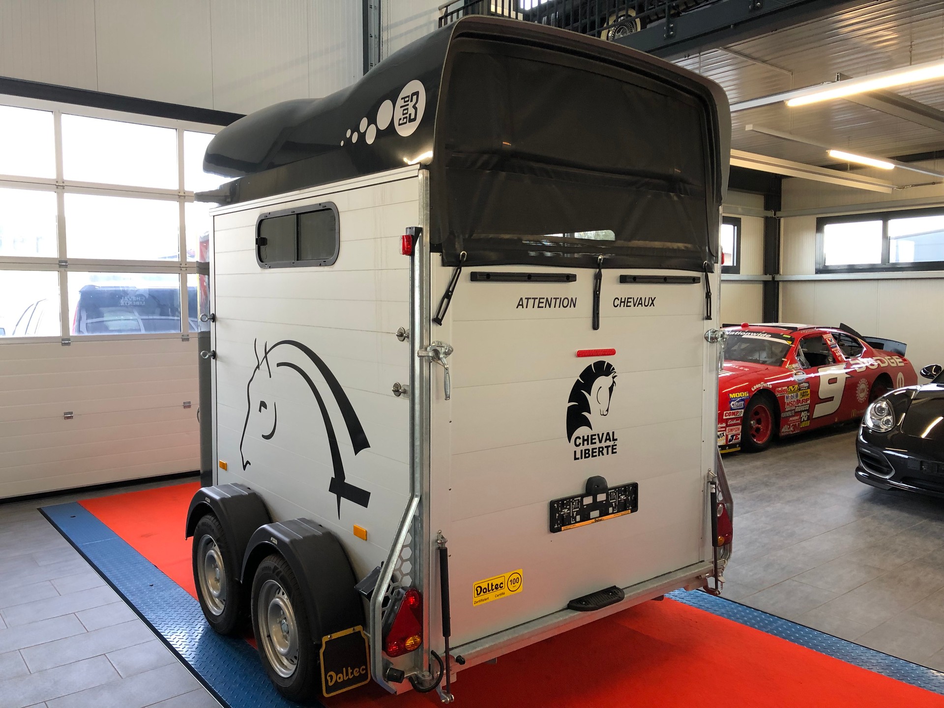 DALTEC CHEVAL LIBERTE GOLD 3-showroom-element-3