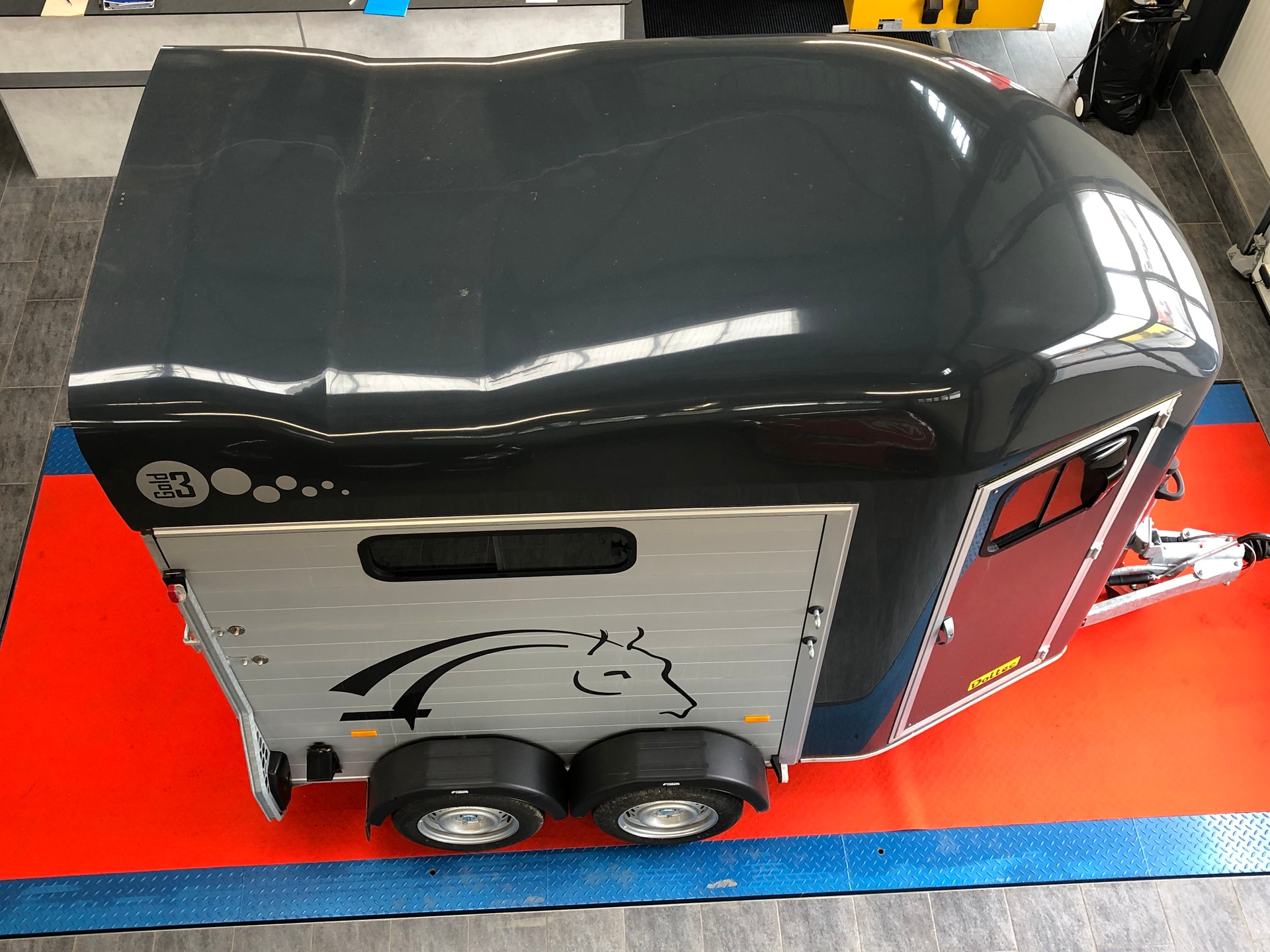 DALTEC CHEVAL LIBERTE GOLD 3-image-14