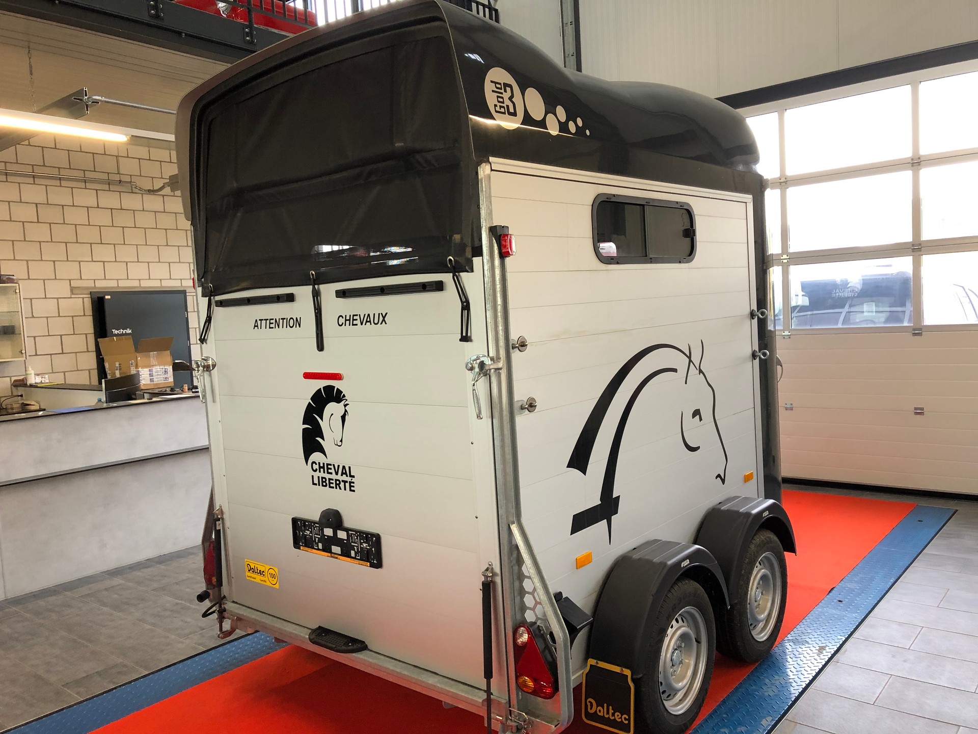 DALTEC CHEVAL LIBERTE GOLD 3-image-5