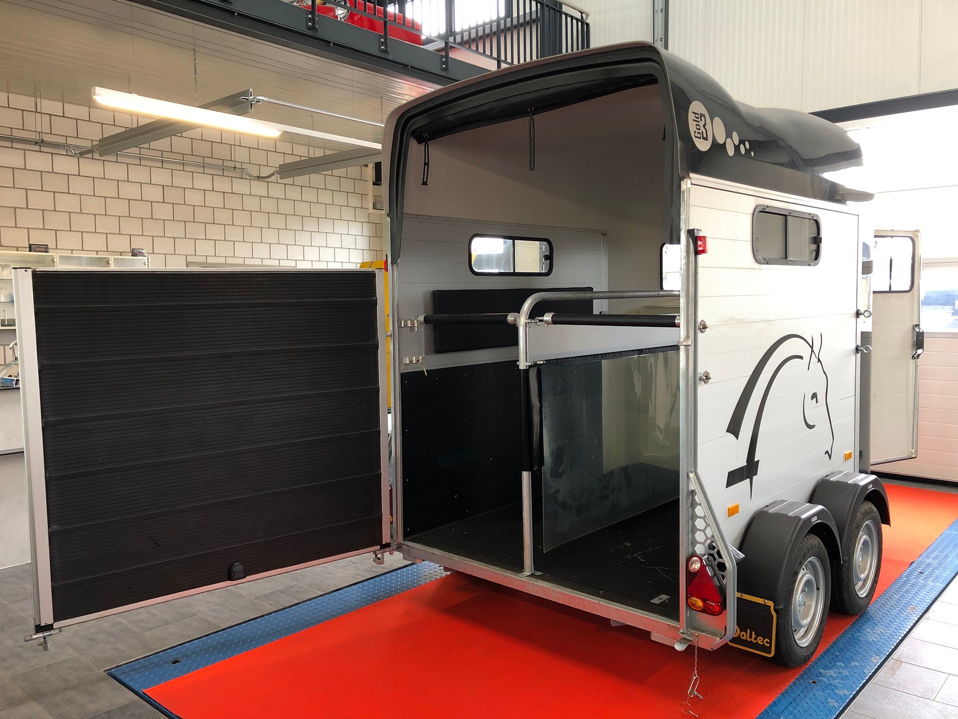 DALTEC CHEVAL LIBERTE GOLD 3-image-12