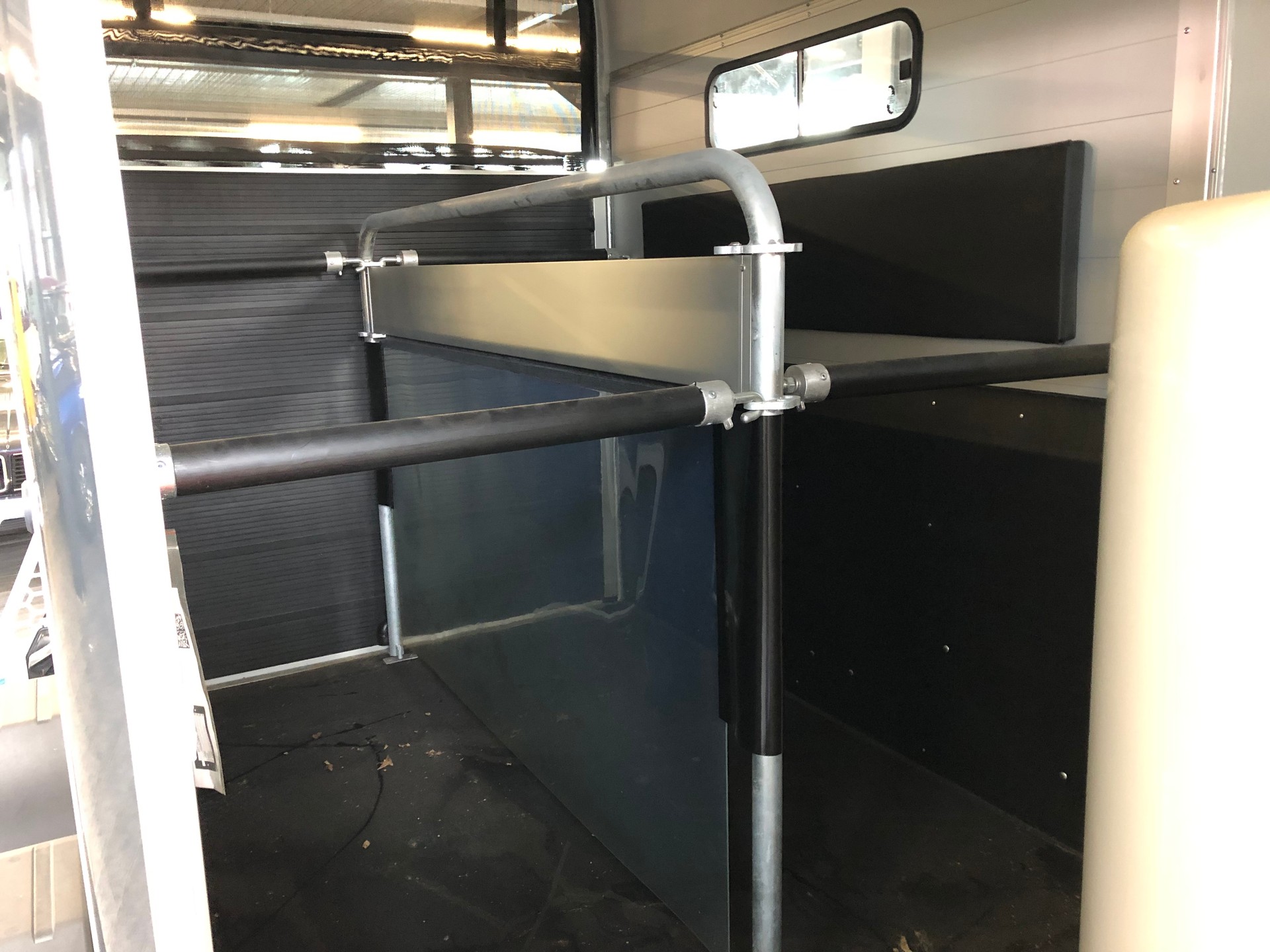 DALTEC CHEVAL LIBERTE GOLD 3-image-8