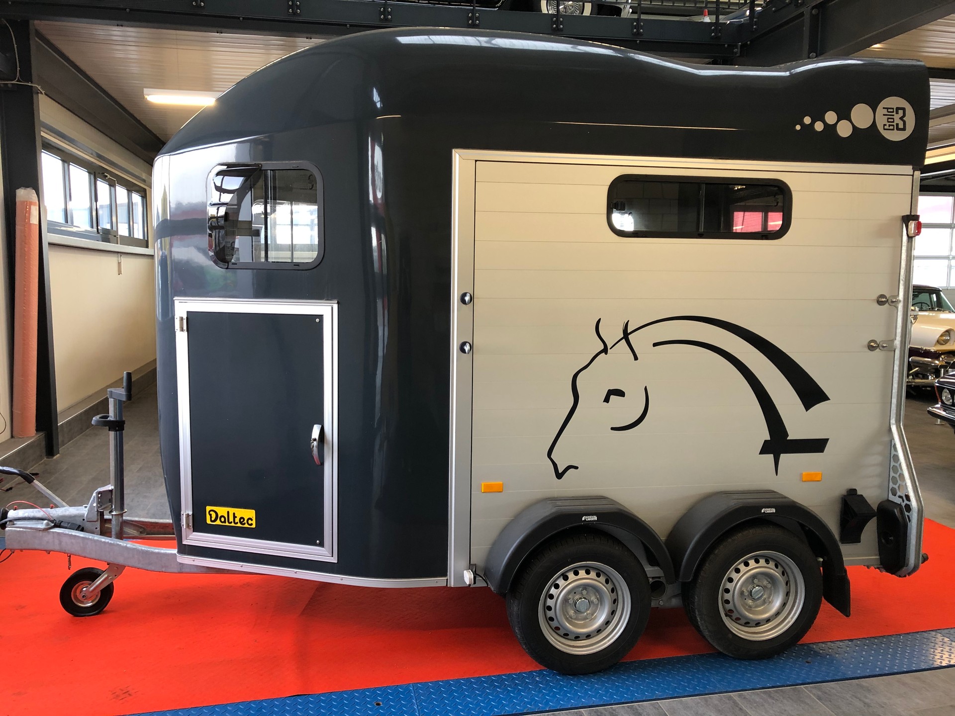 DALTEC CHEVAL LIBERTE GOLD 3-showroom-element-1