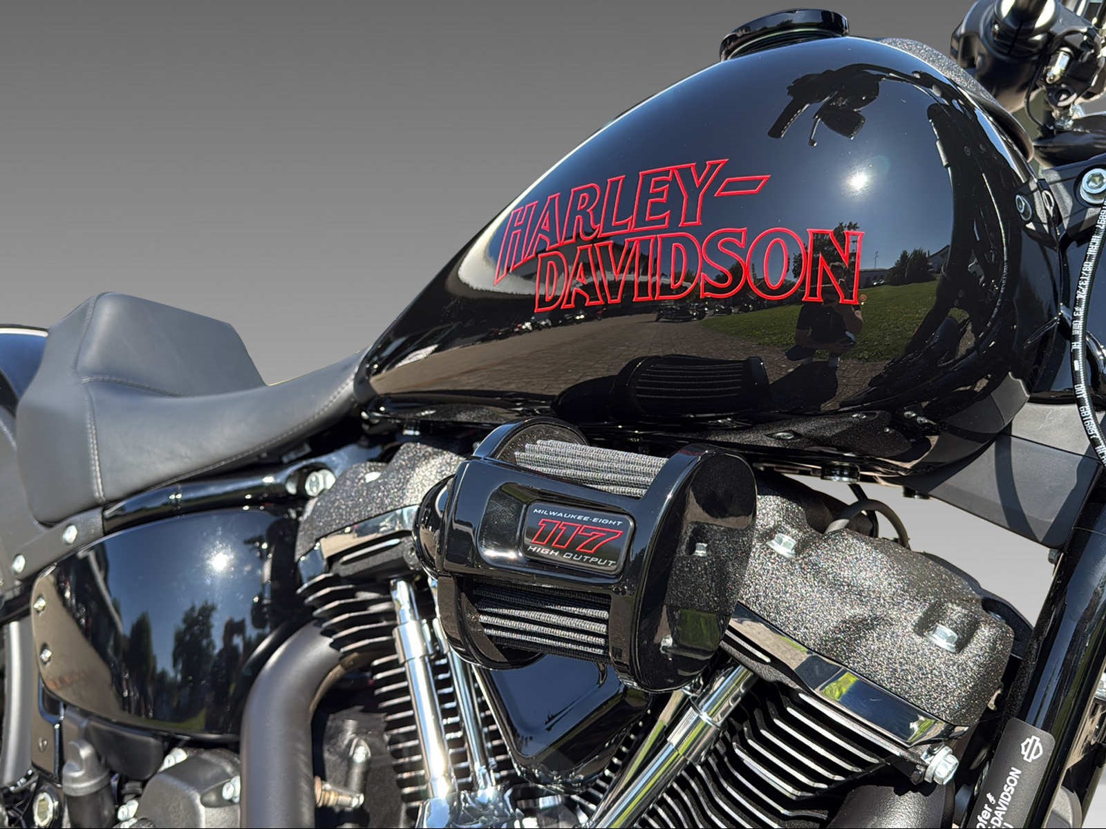 HARLEY-DAVIDSON FXLRS Low Rider S 117-image-6