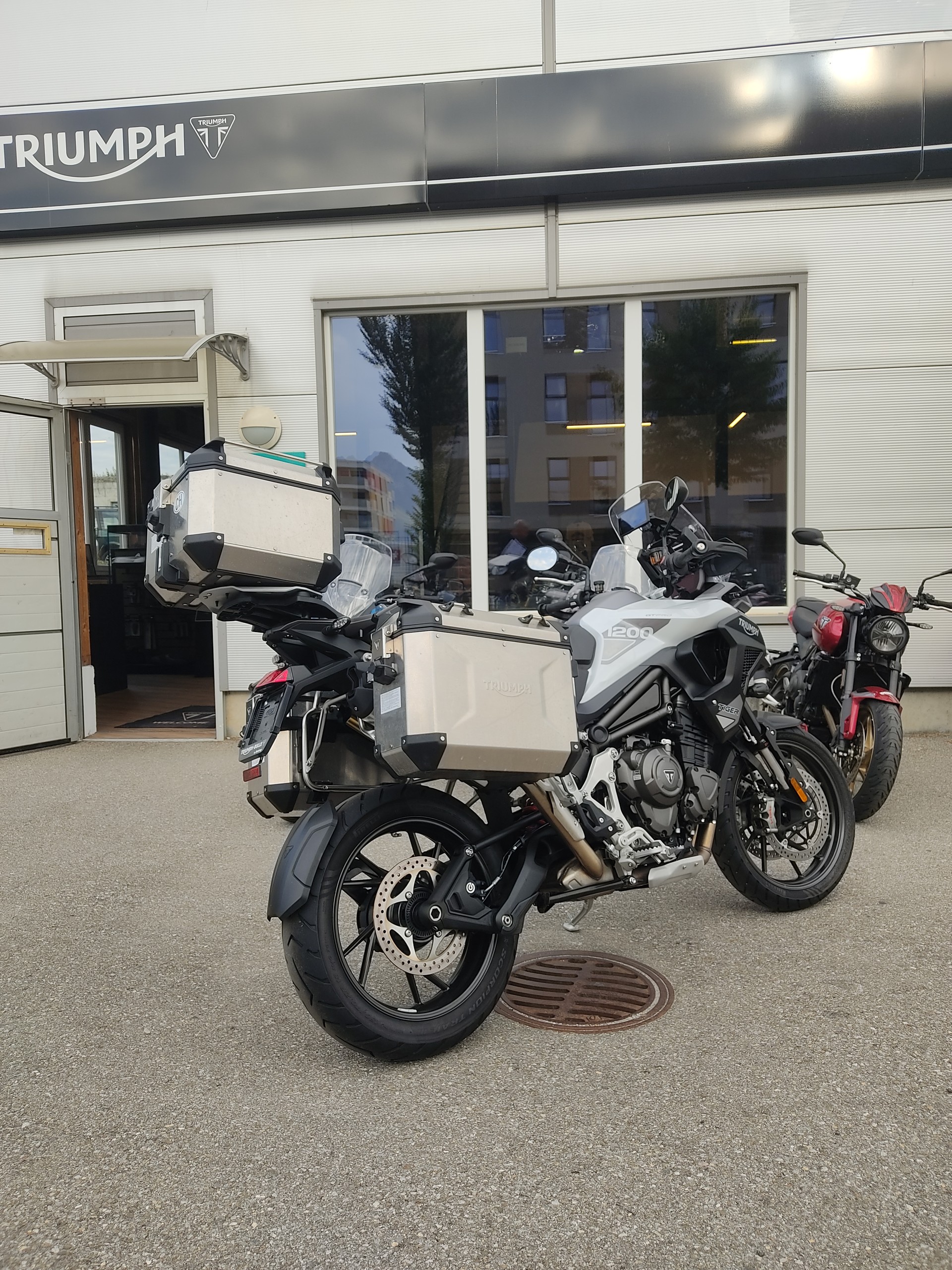 TRIUMPH Tiger 1200 GT Pro-image-2