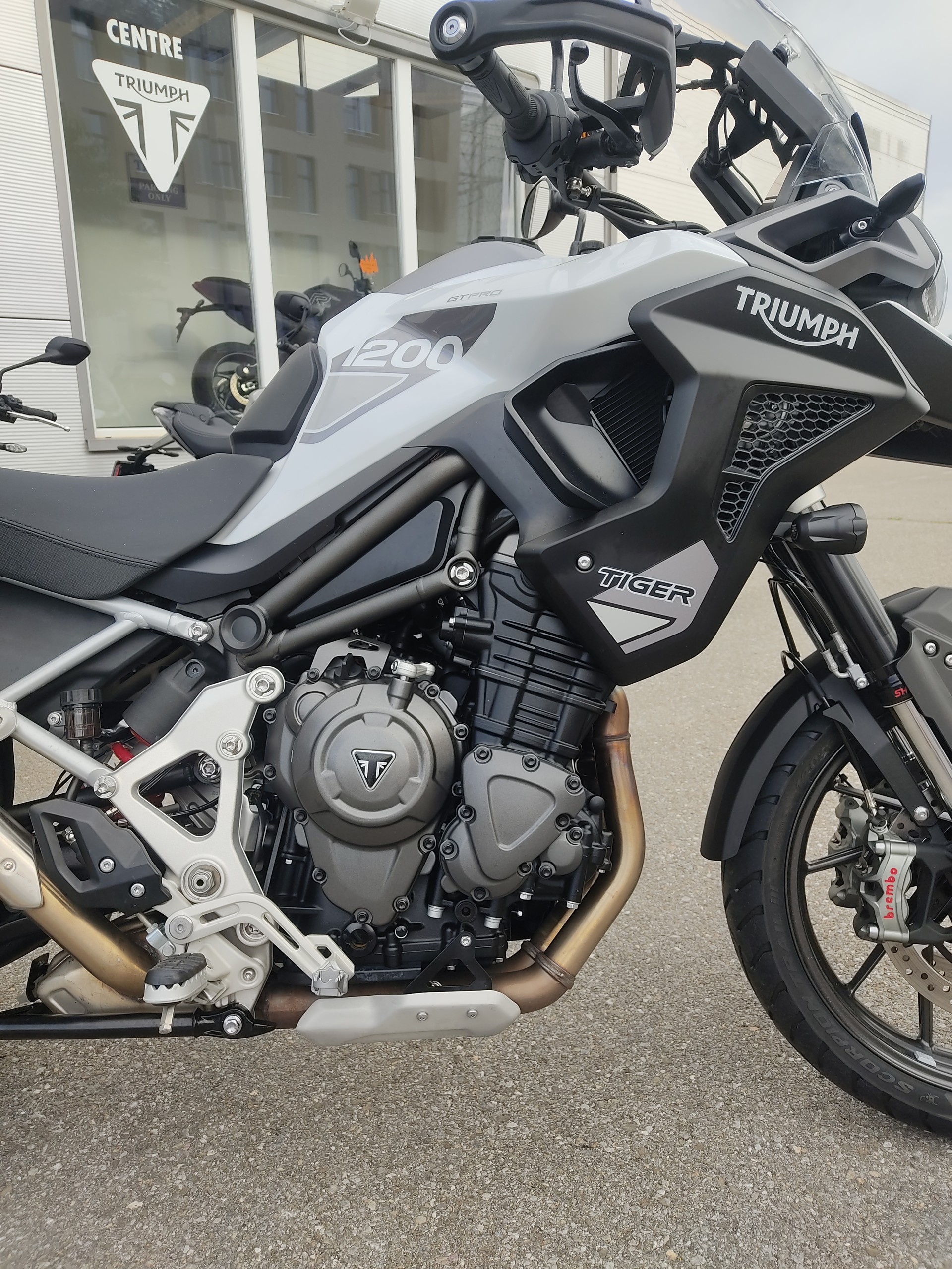TRIUMPH Tiger 1200 GT Pro-image-3