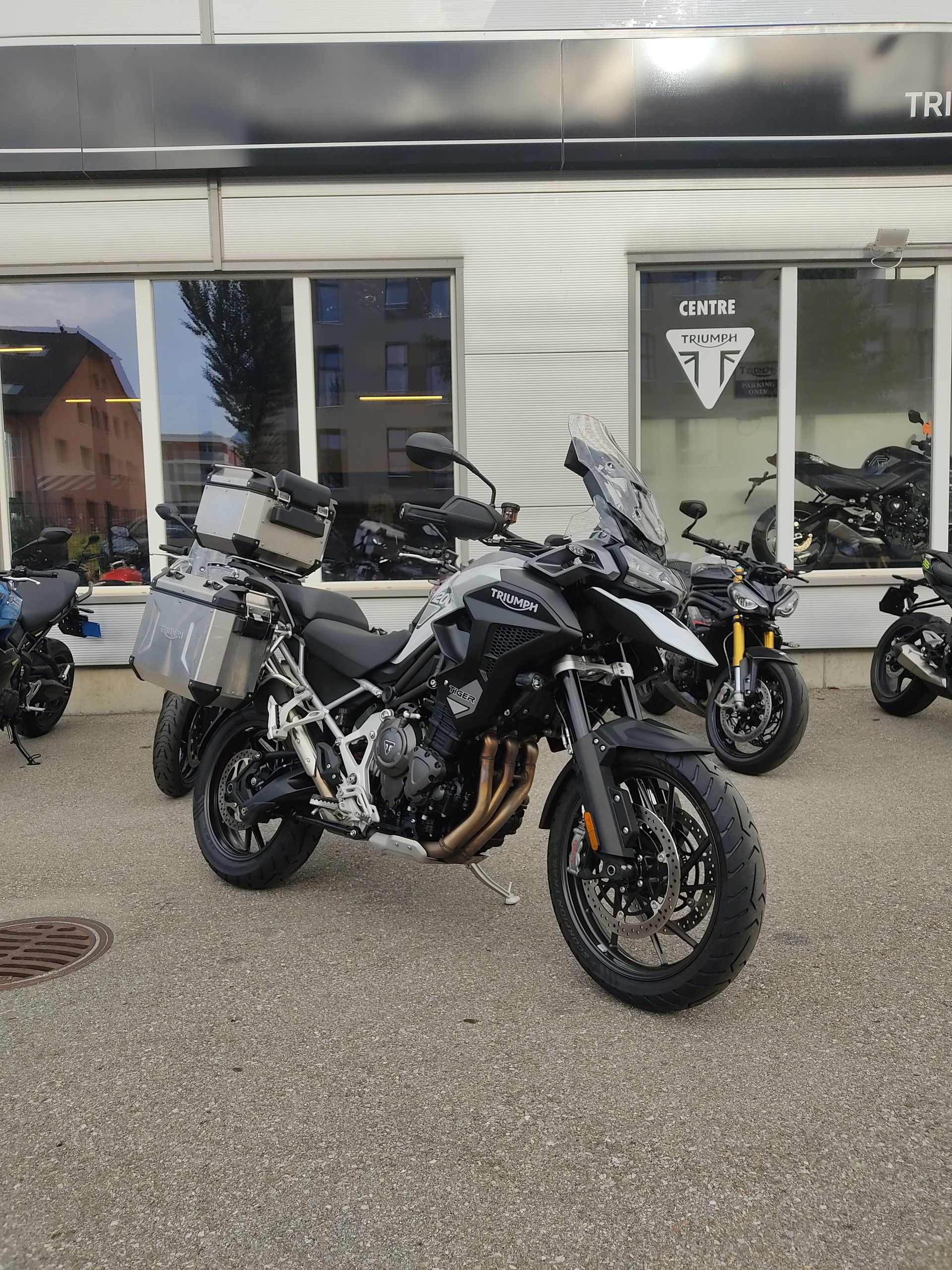 TRIUMPH Tiger 1200 GT Pro-image-0