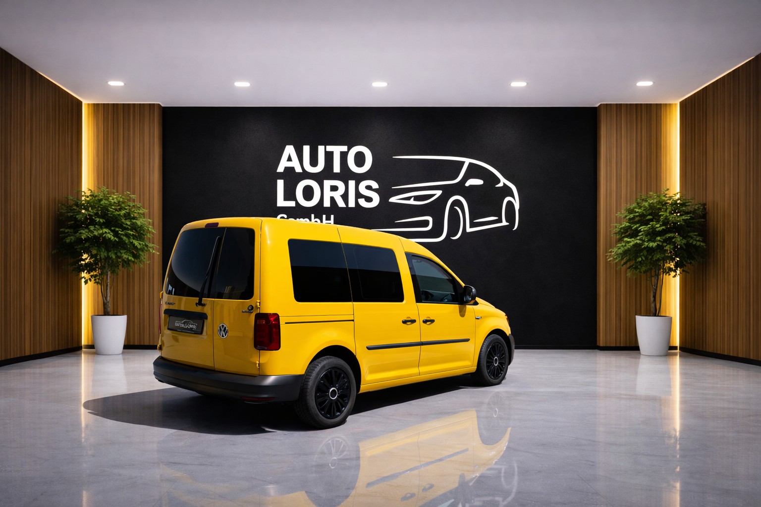 VW CADDY 2.0 TDl 4x4 Allrad-image-3