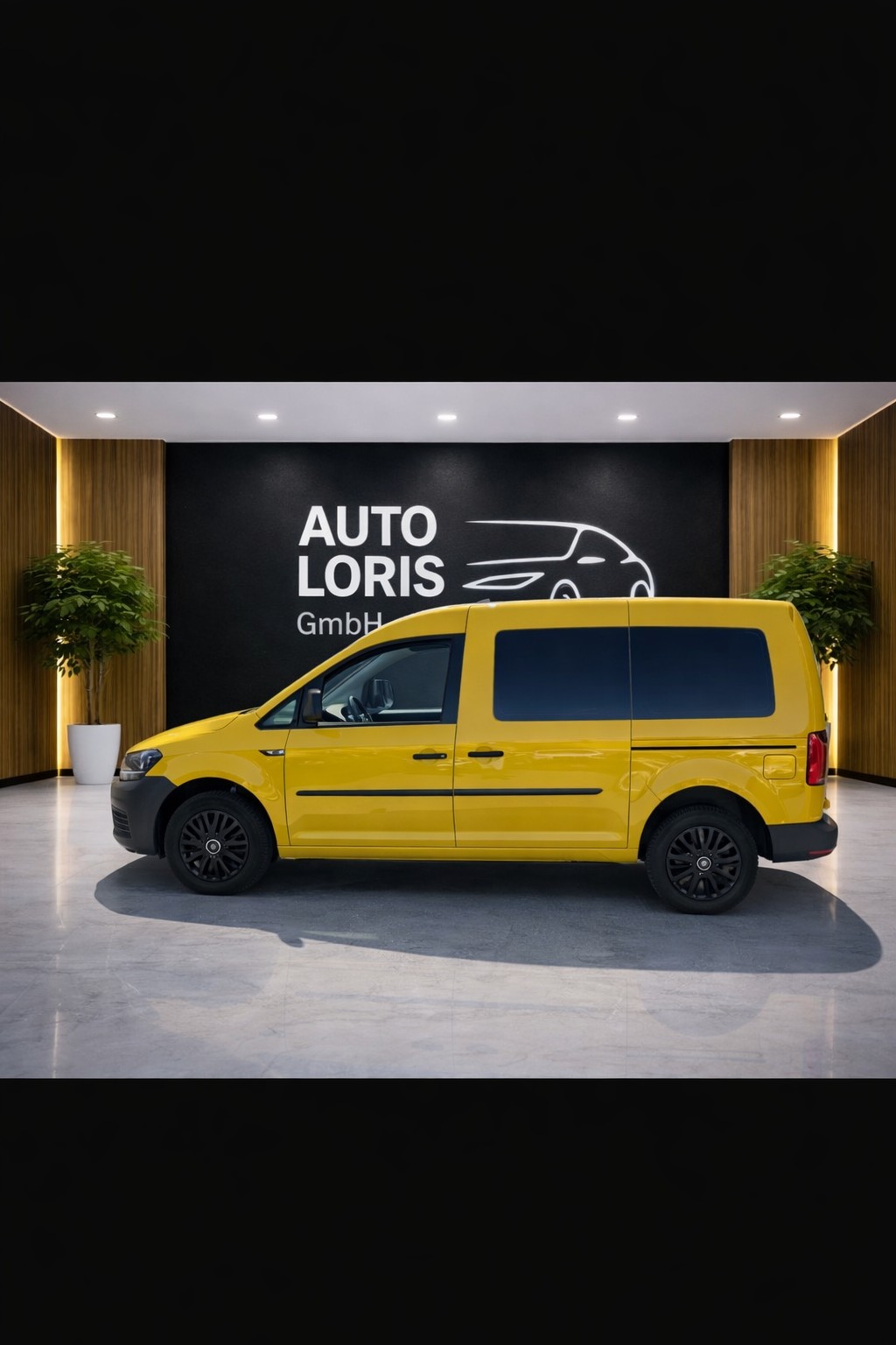 VW CADDY 2.0 TDl 4x4 Allrad-image-5