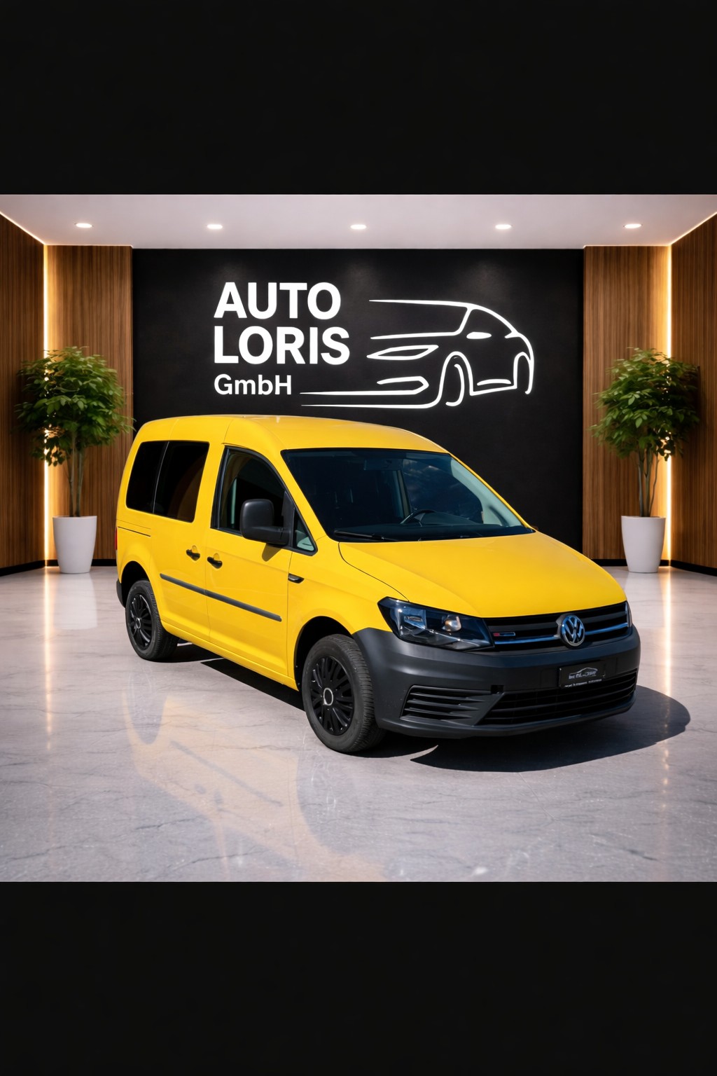 VW CADDY 2.0 TDl 4x4 Allrad-image-1