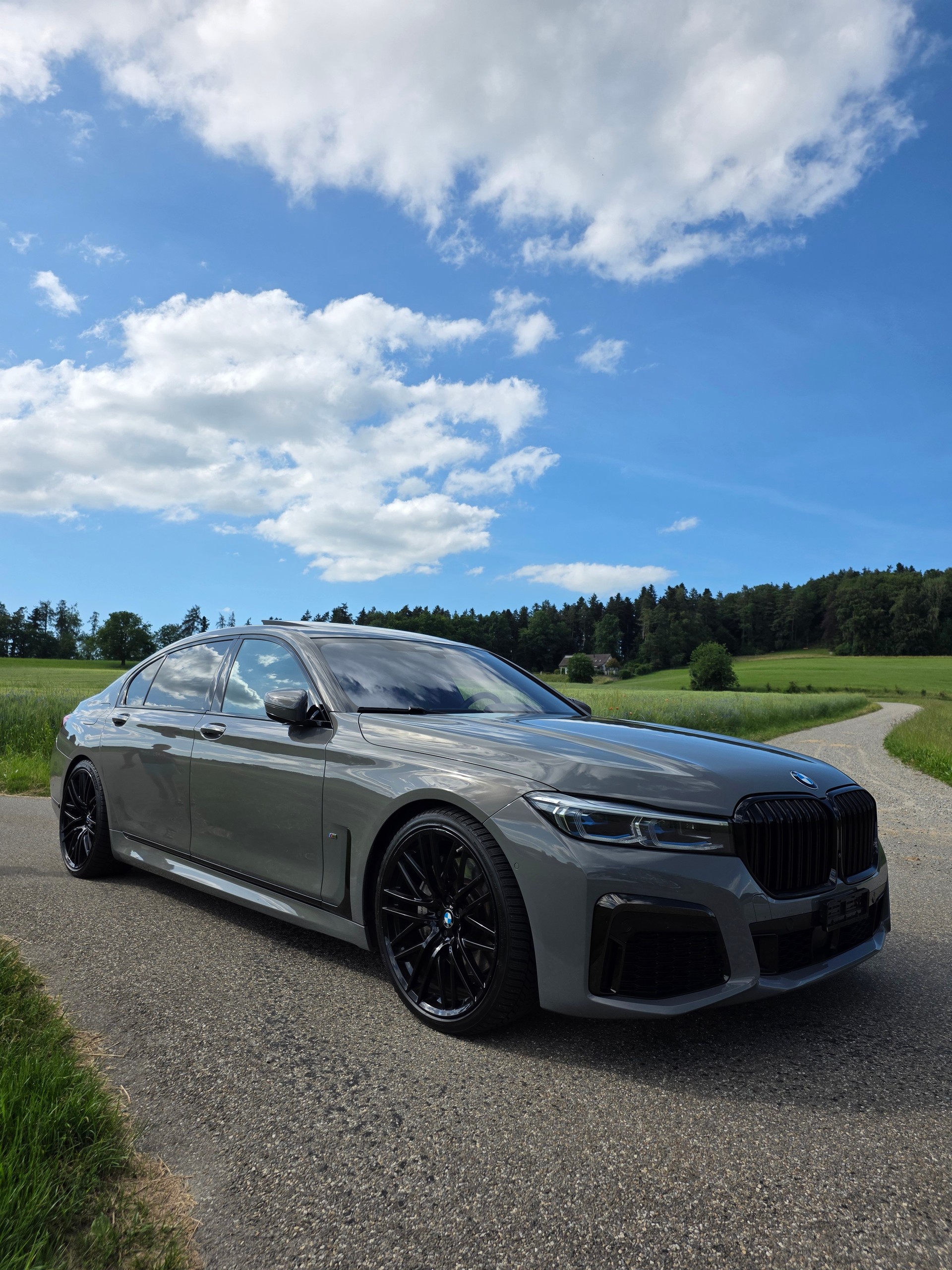 BMW 745Le xDrive Steptronic-image-10