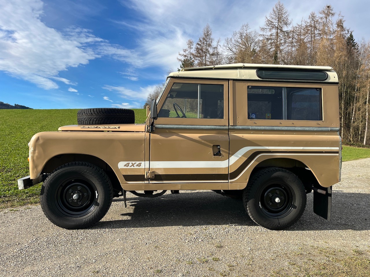 LAND ROVER 88 Serie 3 Station Wagon-image-3