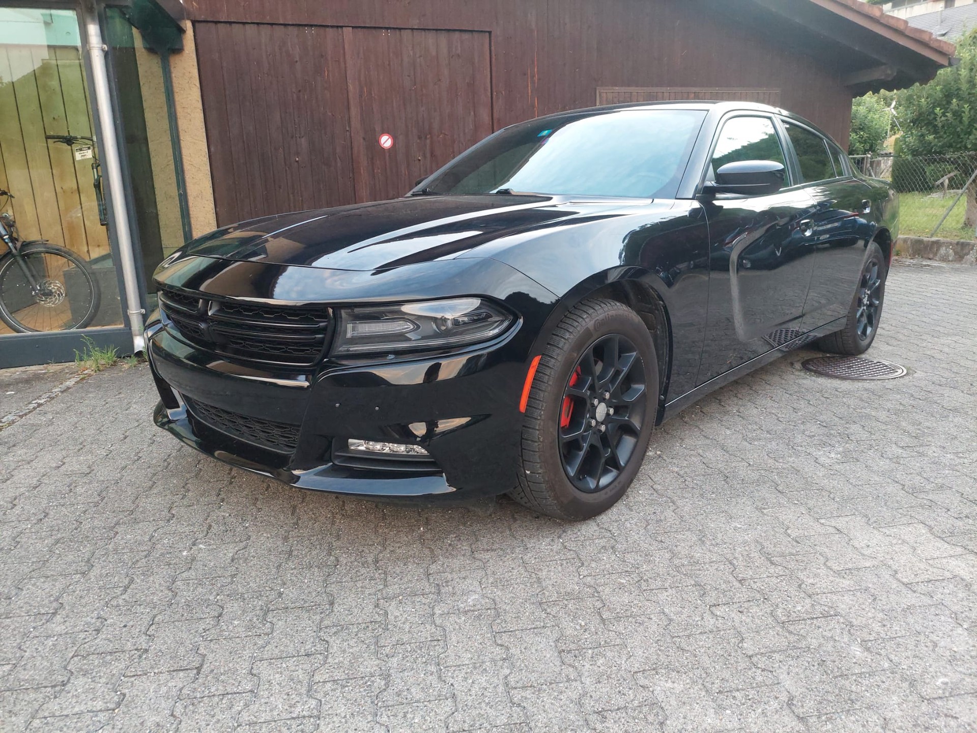 DODGE Rally-image-2