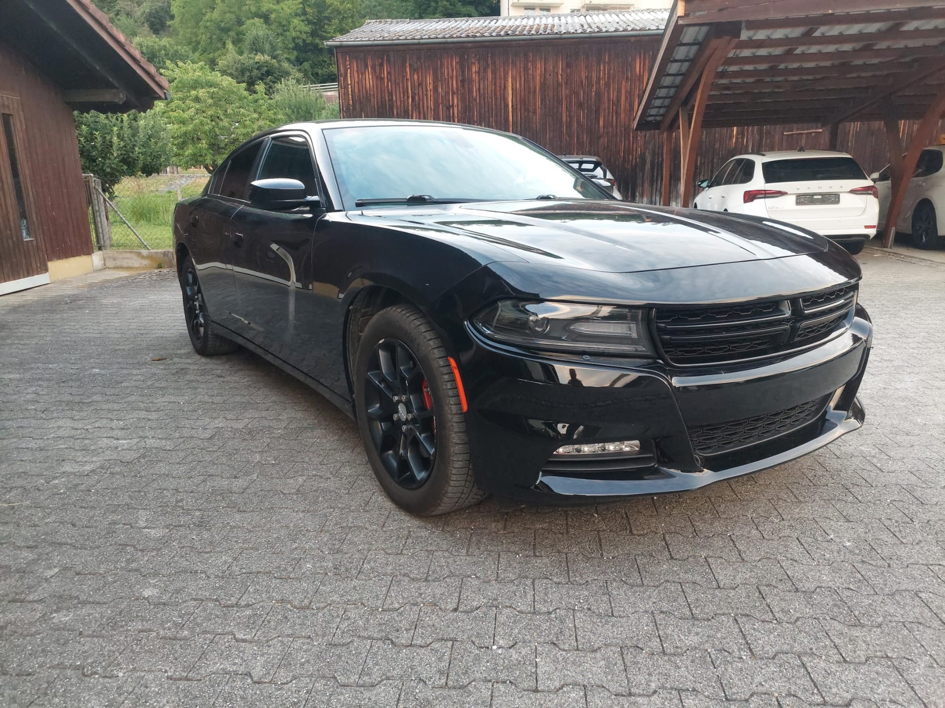 DODGE Rally