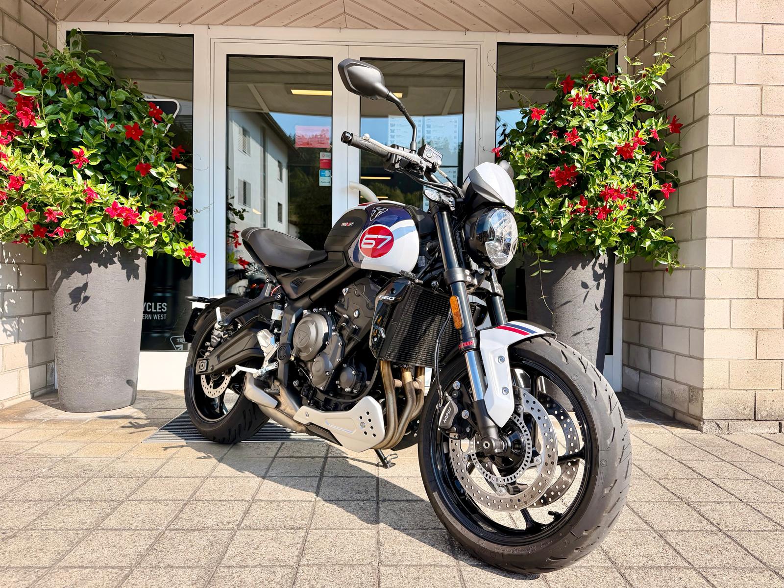 TRIUMPH Trident 660-image-5