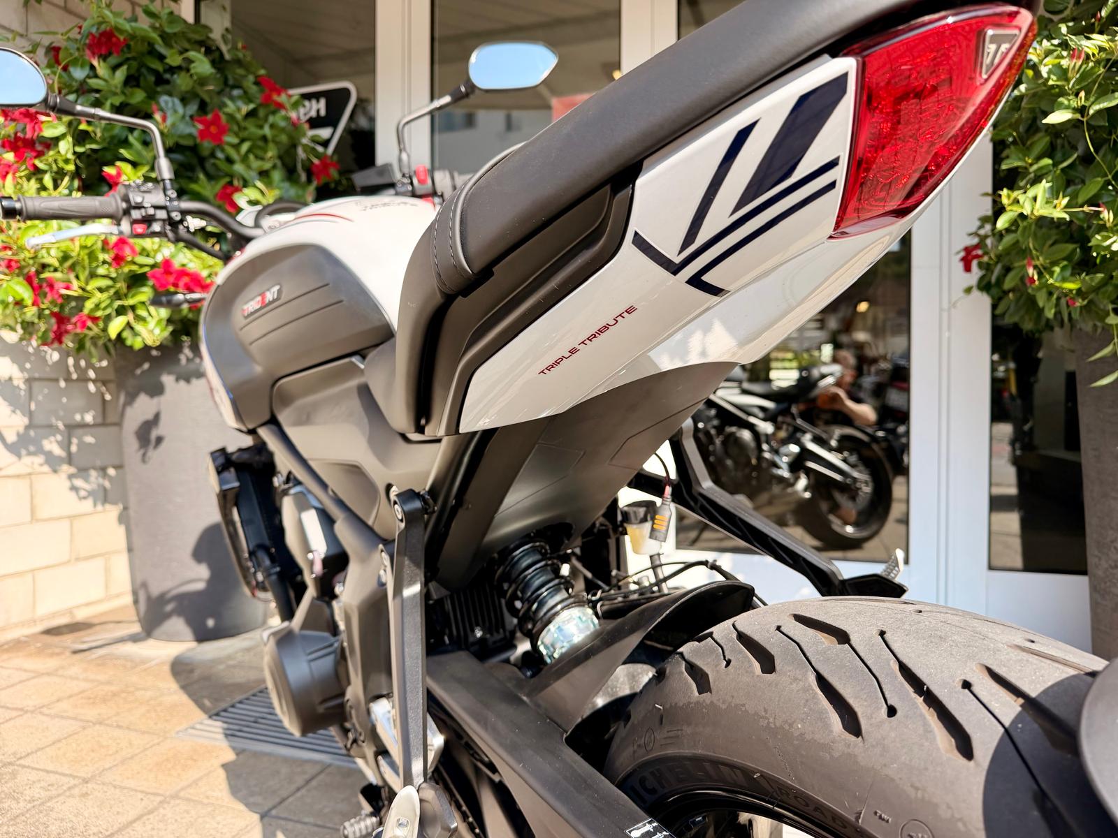 TRIUMPH Trident 660-image-4
