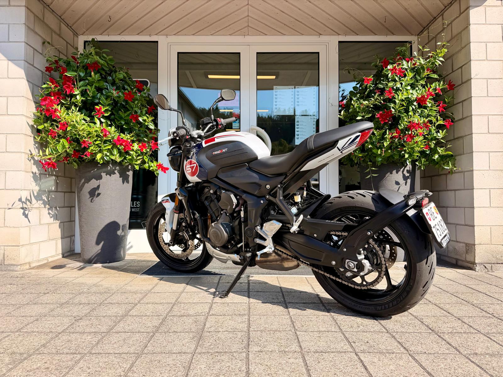 TRIUMPH Trident 660-showroom-element-3