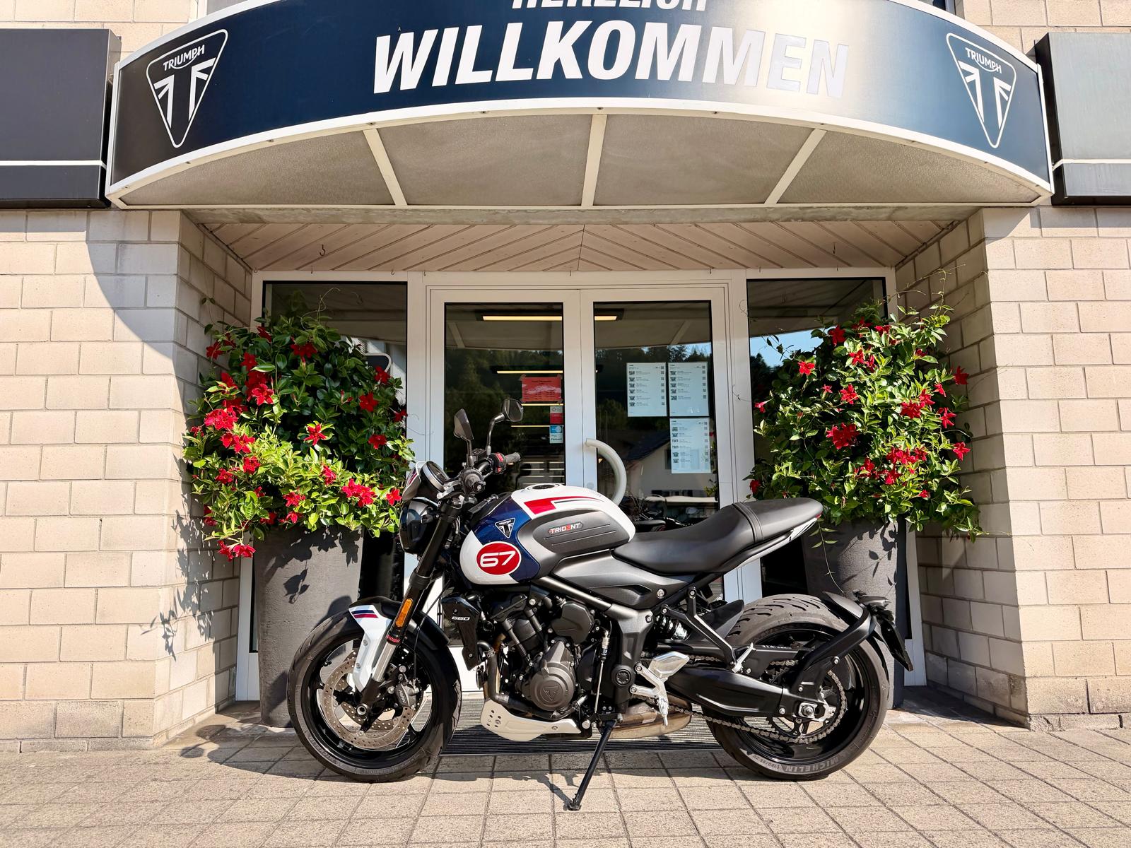 TRIUMPH Trident 660-showroom-element-1