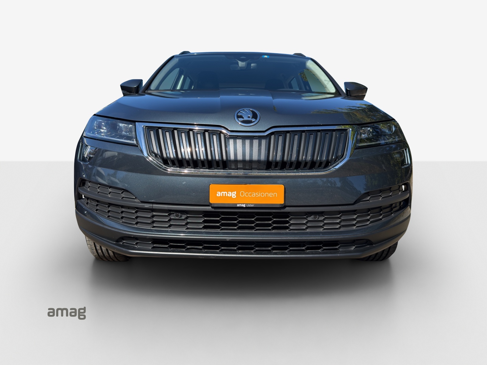 SKODA Karoq 1.0 TSI Ambition DSG-image-6