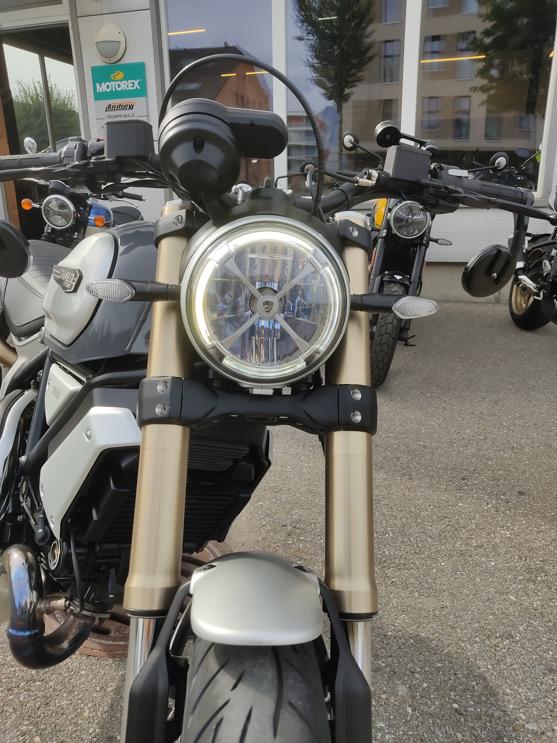 DUCATI Scrambler 1100 (35kW)-image-3