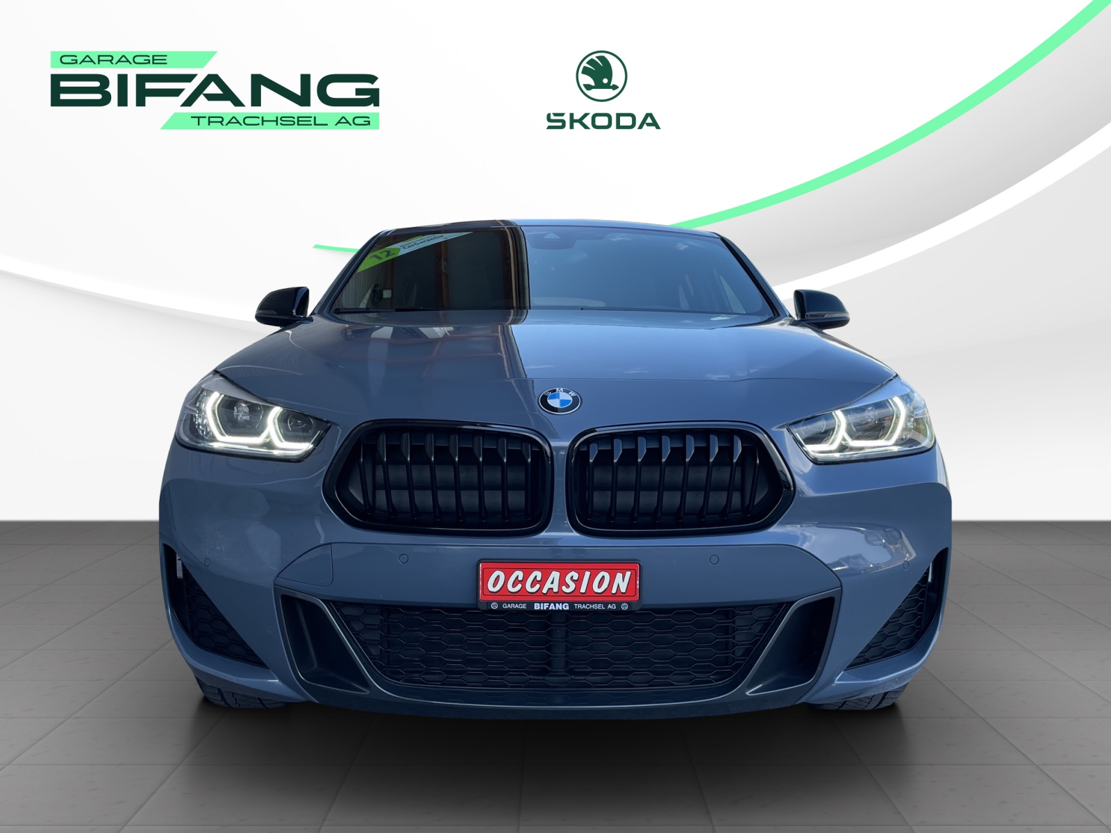 BMW X2 xDrive 20i M Sport-showroom-element-1