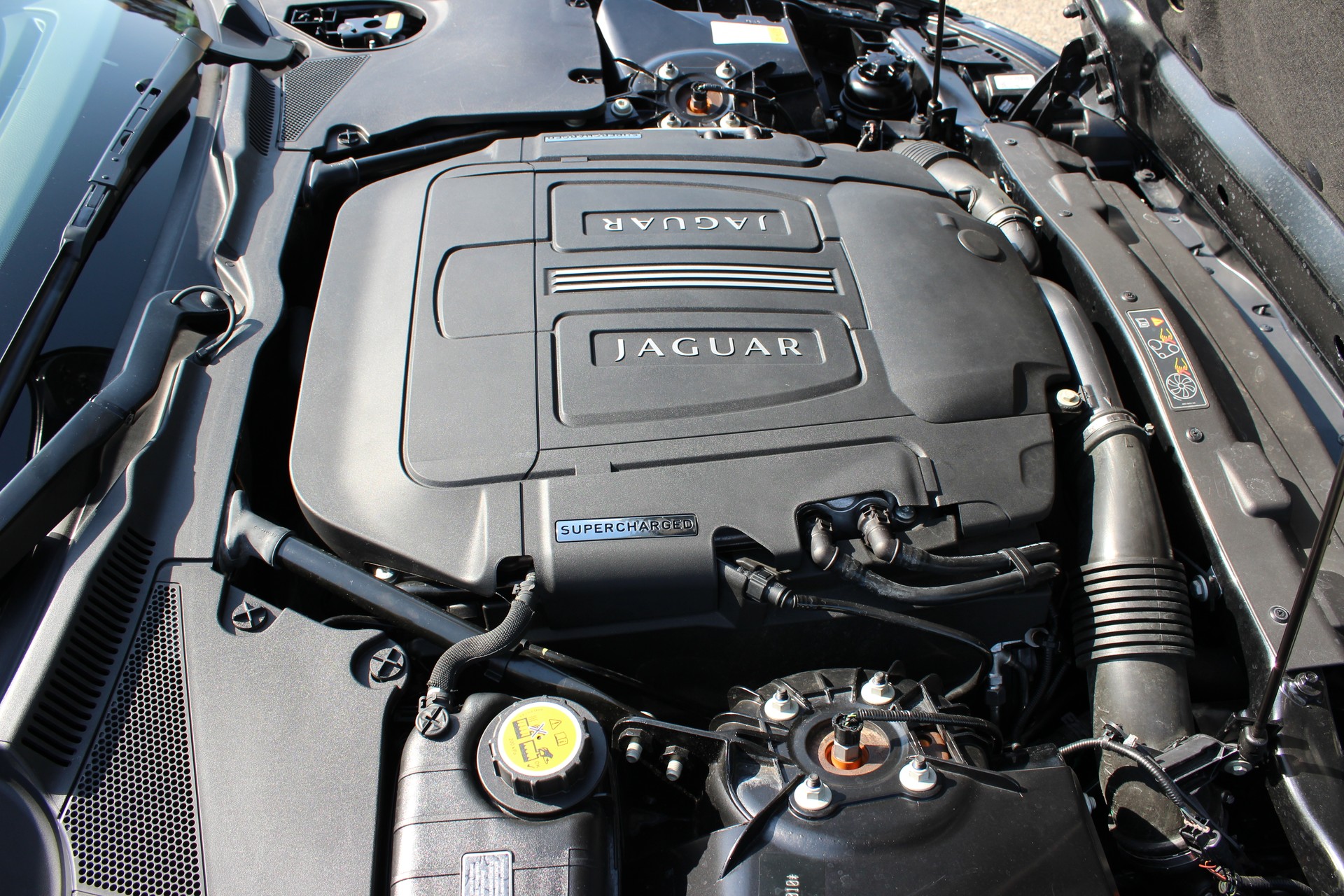JAGUAR 5.0 V8 Supercharged-image-15