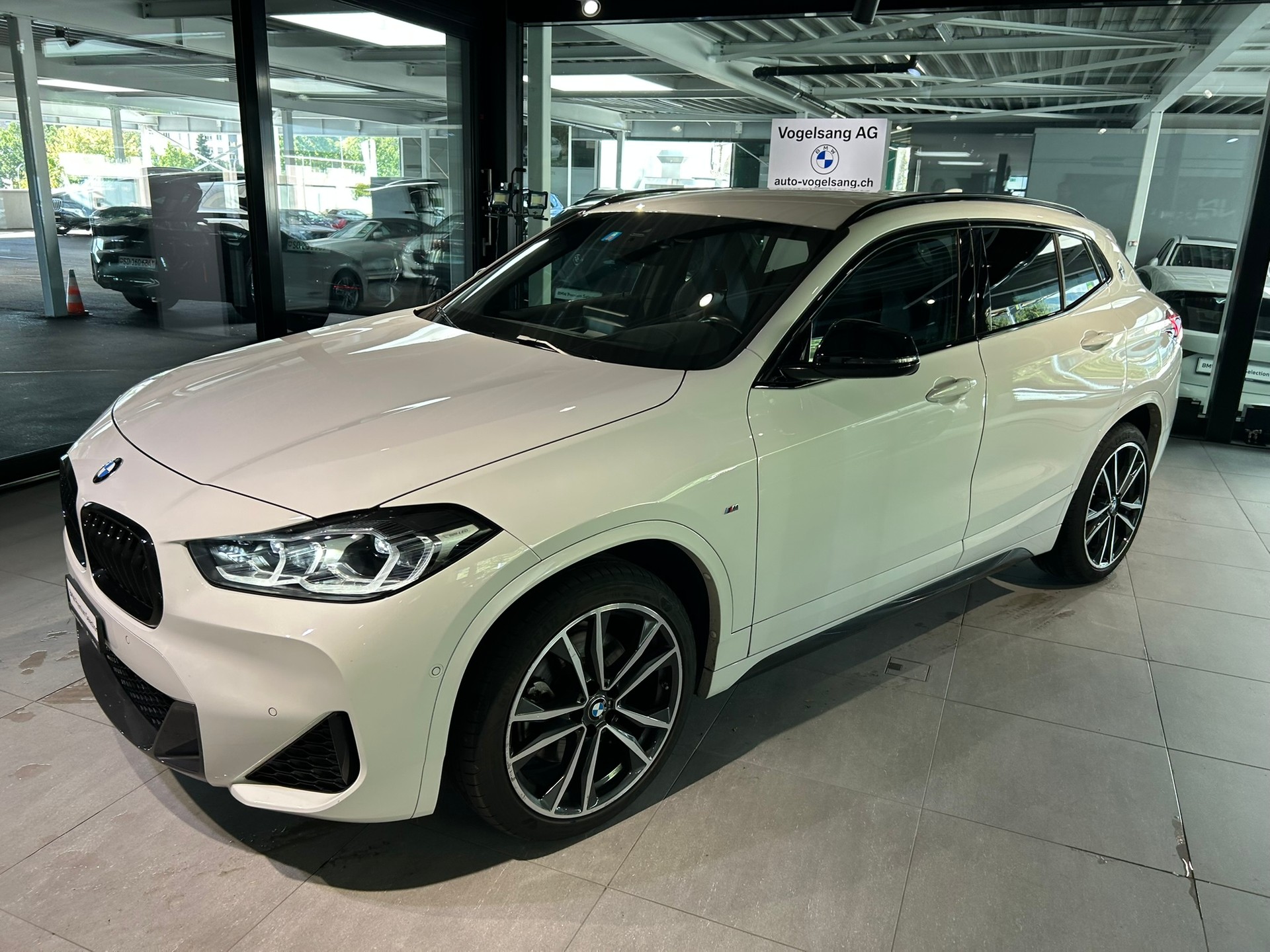 BMW X2 xDrive 20i M Sport-showroom-element-1