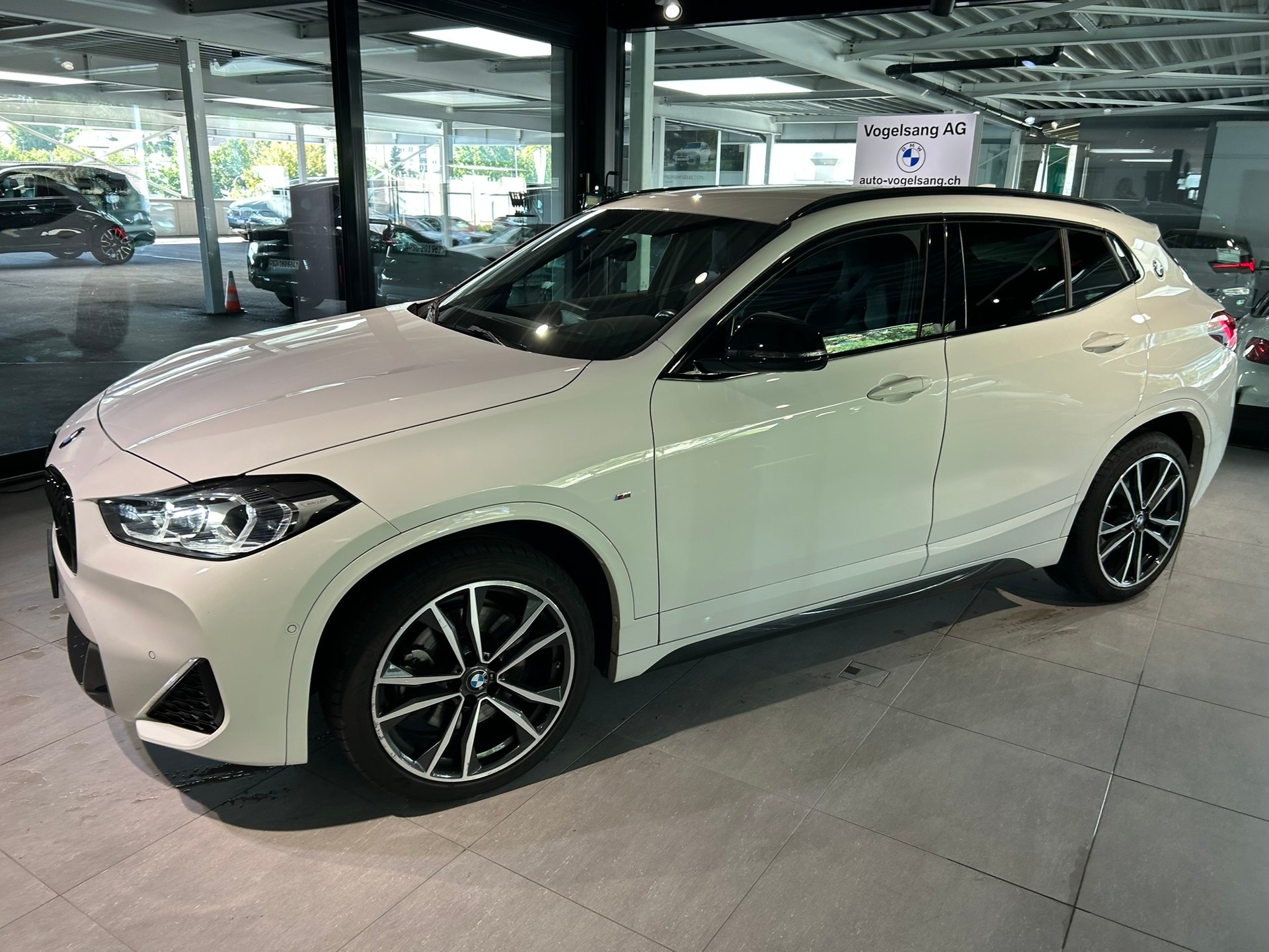 BMW X2 xDrive 20i M Sport-showroom-element-2